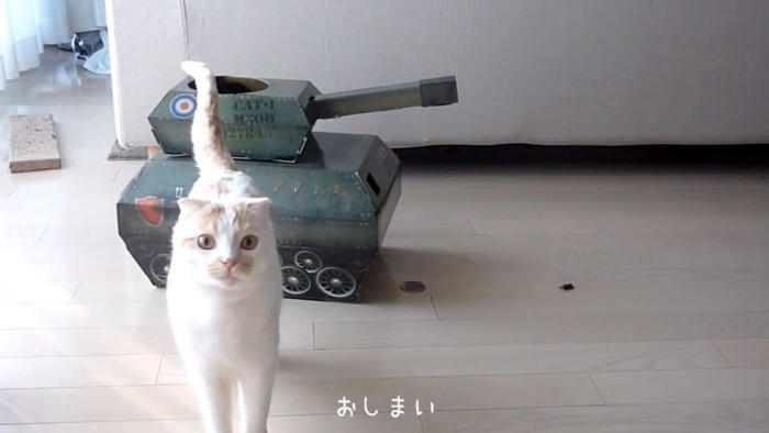 おもちゃの戦車の前に立つ猫