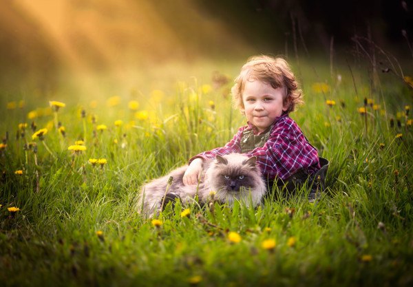 草原の猫と子ども