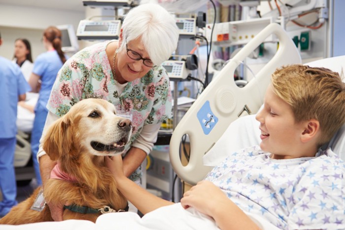 入院中の子供を訪問するセラピー犬