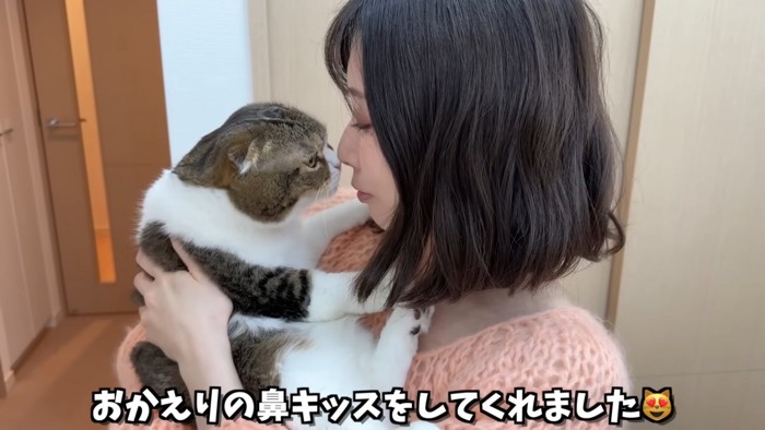 人の鼻に鼻をつける猫