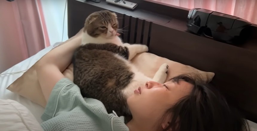 枕の上の猫と女性