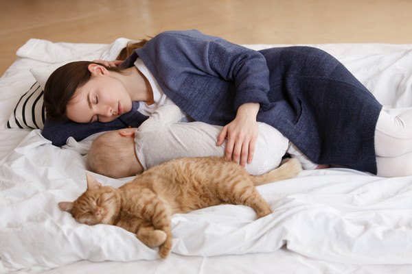 人の母子と寝る猫