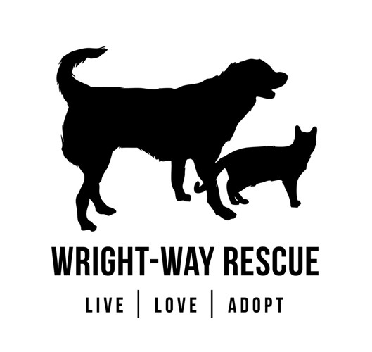 Staff at Wright Way Rescue
