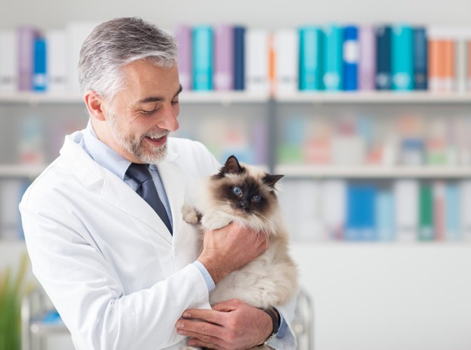 猫と男性医師