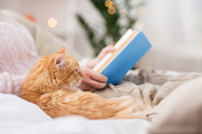 人と一緒に本を読む猫