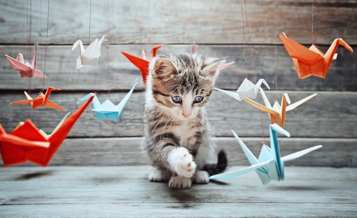 折り鶴と遊ぶ猫