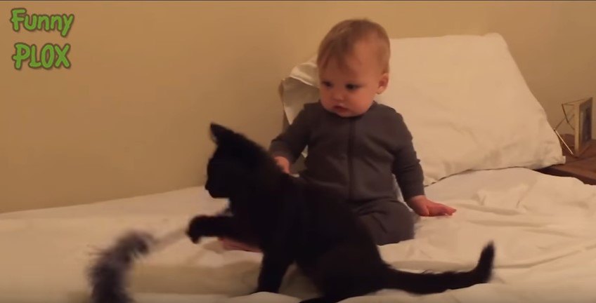 ベッド上の黒猫と乳児