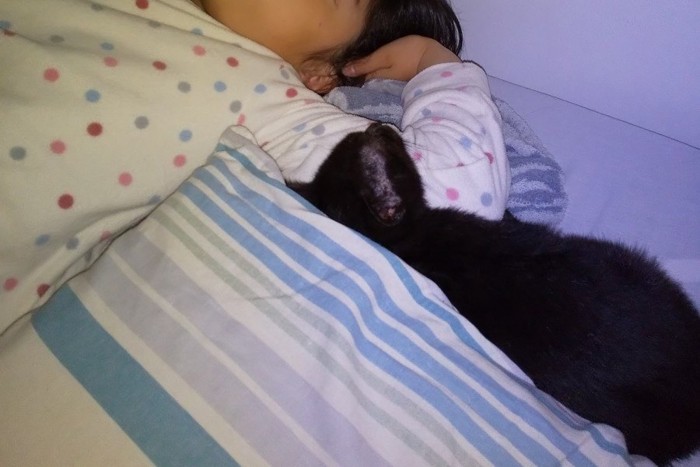 添い寝する黒猫と女児)