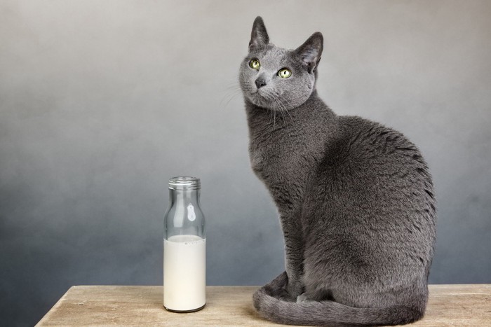 牛乳瓶と猫