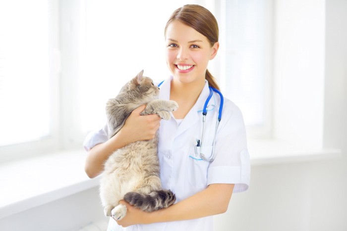 病院で看護師に抱かれる猫