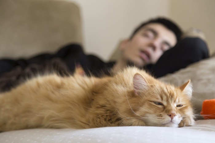 眠る男性と退屈な猫