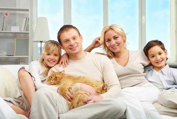 茶色い猫と家族