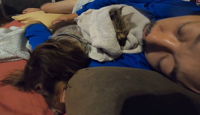 寝ている人と犬と子猫