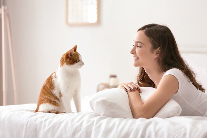 ベッドで女性と見つめ合う猫