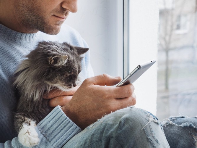 携帯を見る男性の膝にいる猫