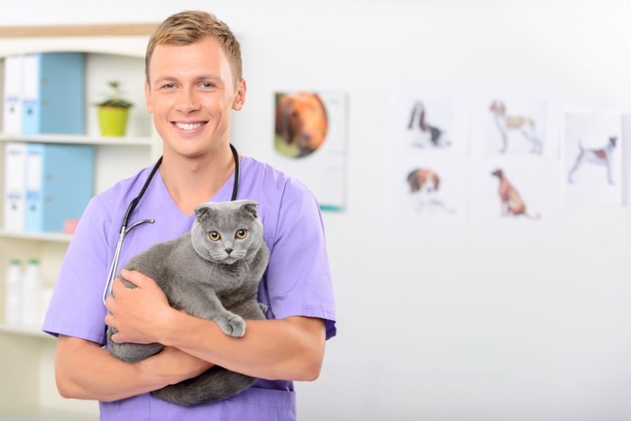 獣医に抱かれている猫
