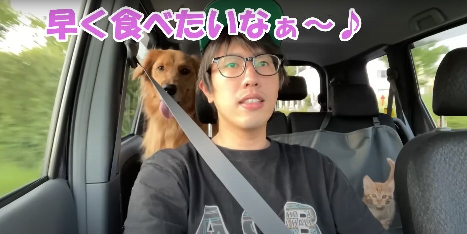 車中の男性と犬と猫