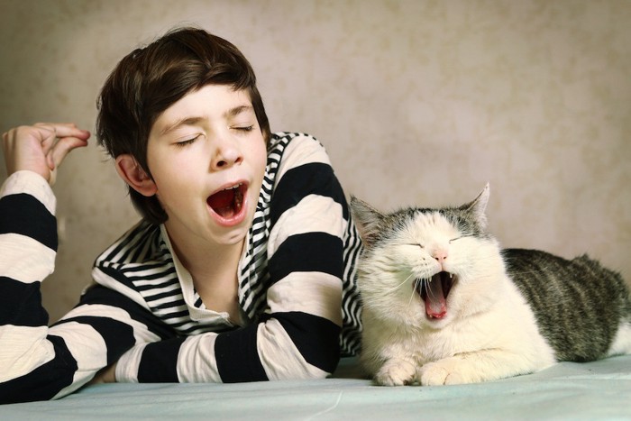 同時にあくびをする少年と猫