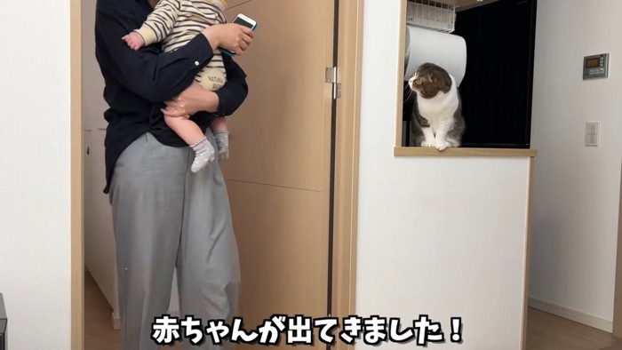 赤ちゃんを抱いて歩く人と座っている猫