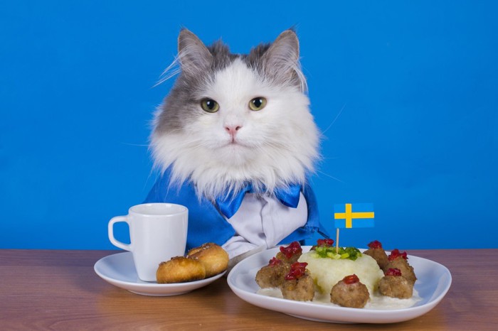 スウェーデンの国旗と猫