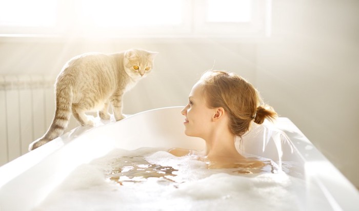 湯船に浸かる女性を見る猫