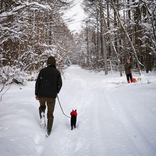 雪の中を歩くノロ