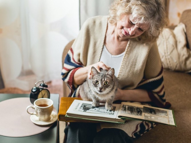本を読む高齢女性の膝の上に乗る猫