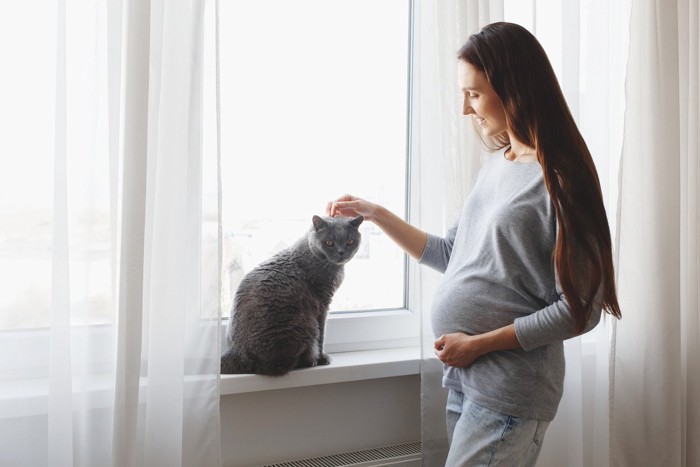 猫と妊婦