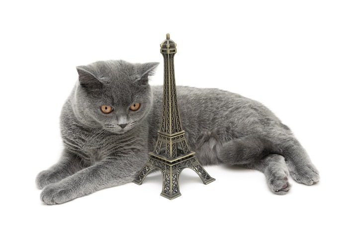 猫とタワーのフィギュア