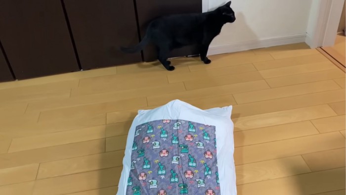 布団と横切る黒猫