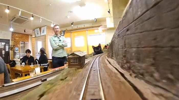 鉄道模型の線路の先で顔を覗かせる凝る猫