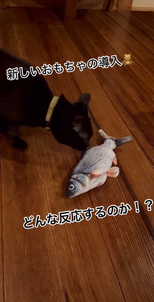 魚のおもちゃ
