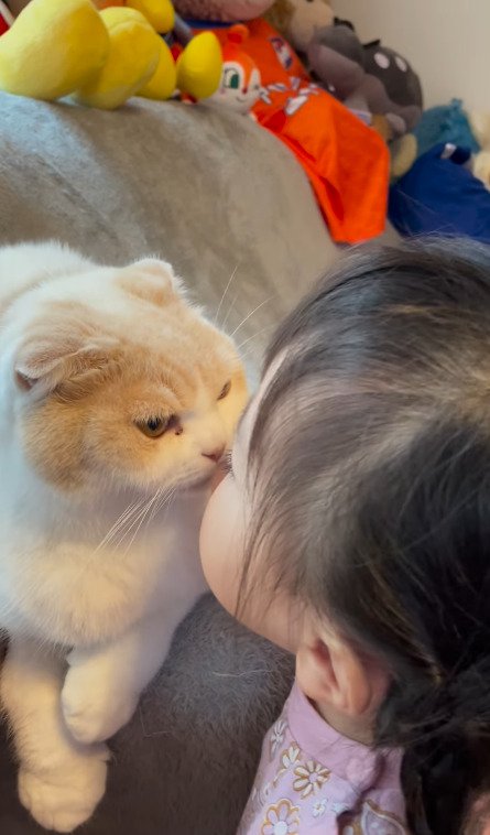 目を開けたまま娘さんからキスをされる猫