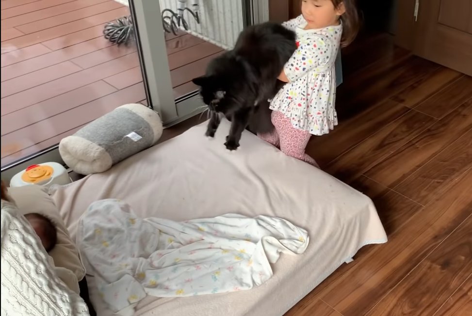 猫を抱っこする子供