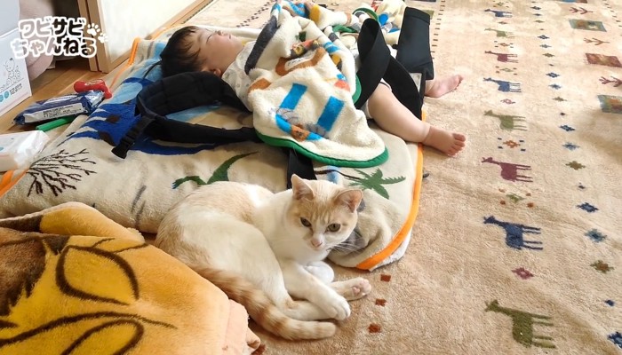 お昼寝する赤ちゃんと猫