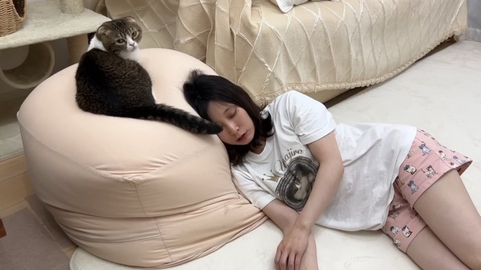 寝ている人と座る猫