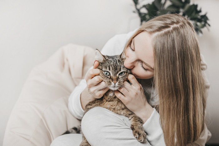 抱っこされキスされる猫