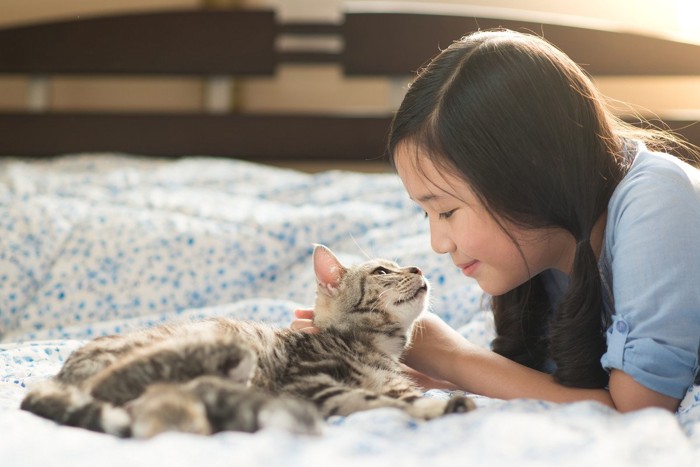 飼い主をみつめる猫