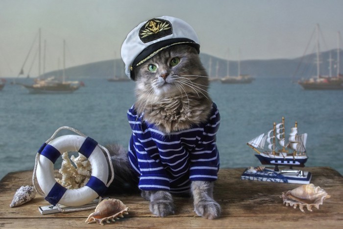 船員の扮装をした猫