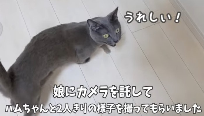 うれしい！の文字と猫