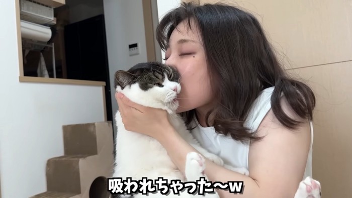 猫吸いされる猫