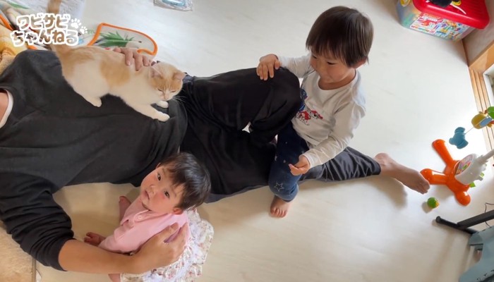 赤ちゃんと子供と猫
