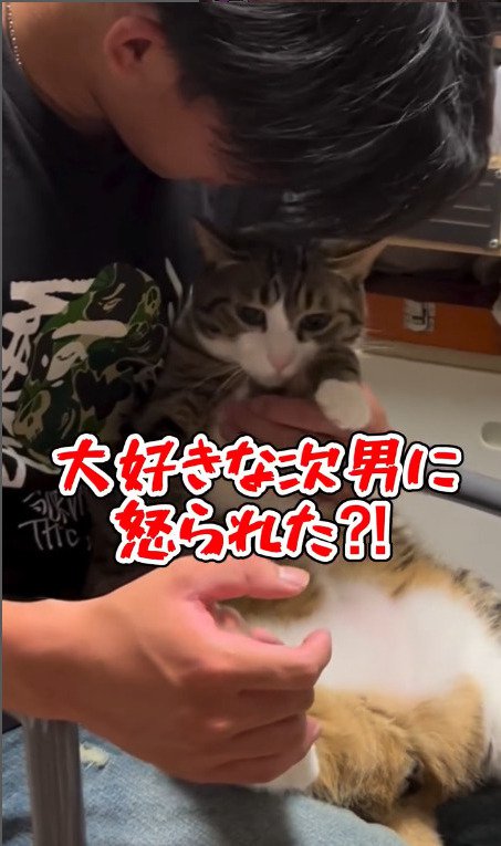 次男に怒られる猫