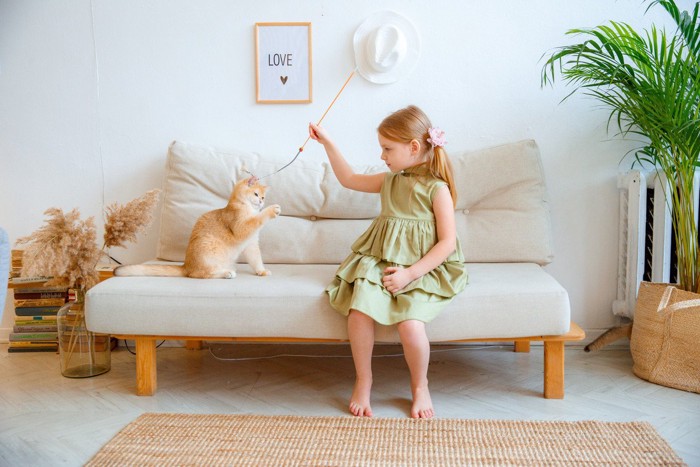ソファーの上で遊ぶ少女と猫