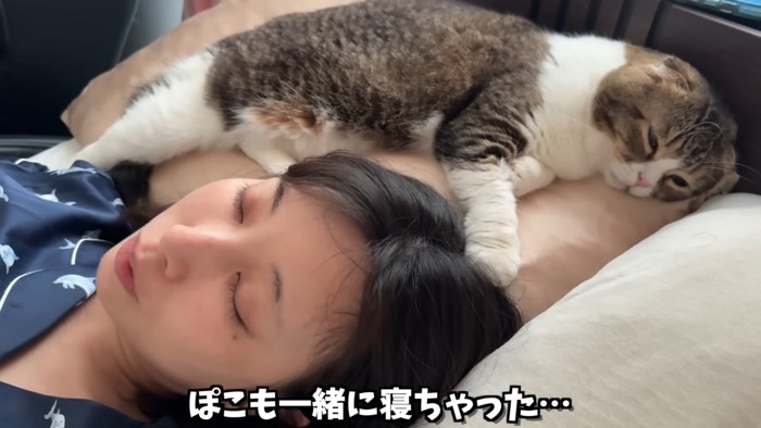 寝ている人と猫