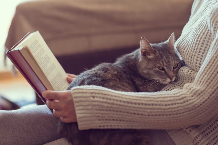 本を読む飼い主と子猫
