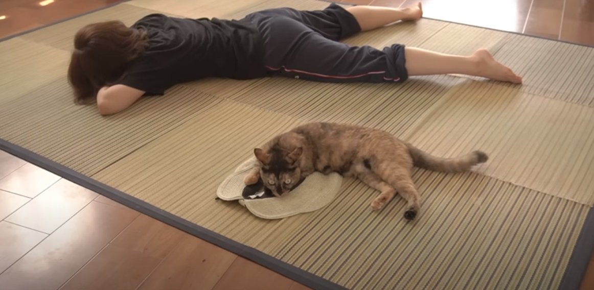 寝転ぶ女性と猫