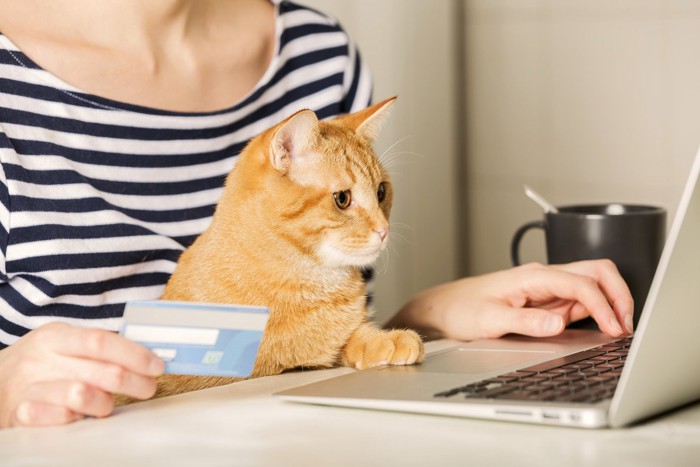 猫を抱えてオンラインショッピング中の女性