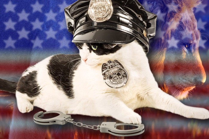 警察官になでられる猫