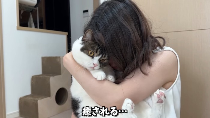 抱きしめられる猫